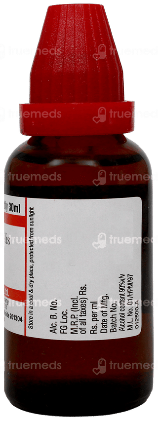 Dr Willmar Schwabe Thuja Occidentalis 30Ch Dilution 30Ml